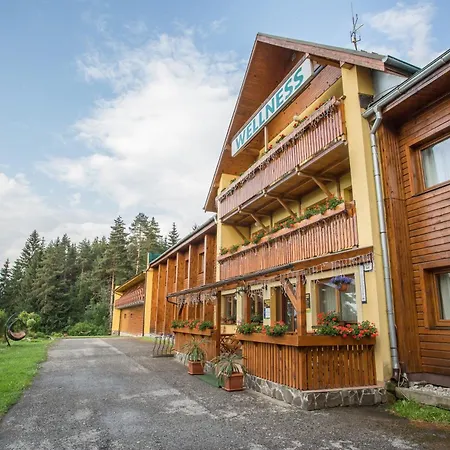 Bystrina Hotel 3*